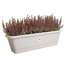 elho 8711904518691 pot à fleurs Extérieure Plastique Gris