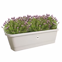 elho 8711904518691 pot à fleurs Extérieure Plastique Gris - Vue supplémentaire 4
