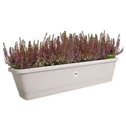 elho 8711904518851 pot à fleurs Extérieure Plastique Gris