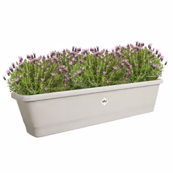 elho 8711904518851 pot à fleurs Extérieure Plastique Gris - Vue supplémentaire 4