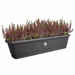 elho 8711904518882 pot à fleurs Extérieure Plastique Noir