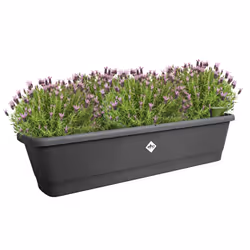 elho 8711904518882 pot à fleurs Extérieure Plastique Noir - Vue supplémentaire 4