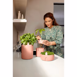 elho 8711904520724 jardinière Marron Plastique - Vue supplémentaire 13
