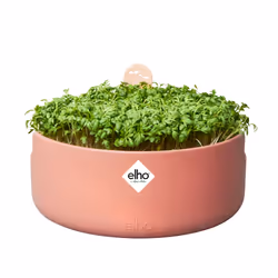 elho 8711904520724 jardinière Marron Plastique - Vue supplémentaire 4