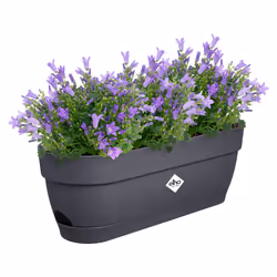 elho 8711904521653 pot à fleurs Plastique Noir