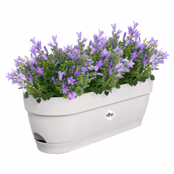elho 8711904521684 pot à fleurs Plastique Blanc