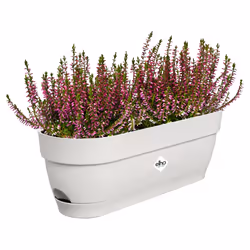 elho 8711904521684 pot à fleurs Plastique Blanc - Vue supplémentaire 4