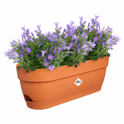 elho 8711904521714 pot à fleurs Plastique Marron