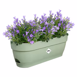 elho 8711904521745 pot à fleurs Plastique Vert
