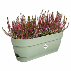 elho 8711904521745 pot à fleurs Plastique Vert - Vue supplémentaire 4