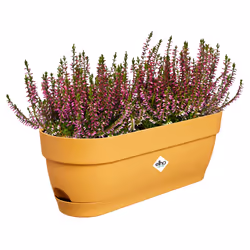 elho 8711904521837 pot à fleurs Plastique Jaune