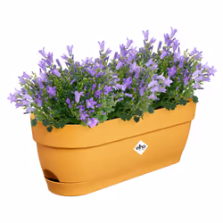 elho 8711904521837 pot à fleurs Plastique Jaune - Vue supplémentaire 4