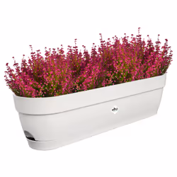 elho 8711904521967 pot à fleurs Plastique Blanc