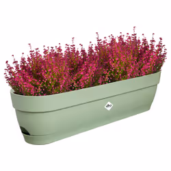 elho 8711904522025 pot à fleurs Plastique Vert - Vue supplémentaire 4