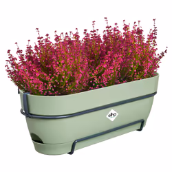 elho 8711904522322 pot à fleurs Plastique Vert - Vue supplémentaire 4