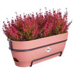 elho 8711904522353 pot à fleurs Plastique Rose