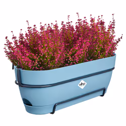 elho 8711904522384 pot à fleurs Plastique Bleu