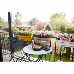 elho 8711904522414 pot à fleurs Plastique Jaune - Vue supplémentaire 9