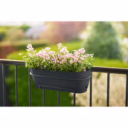 elho 8711904522445 pot à fleurs Plastique Noir - Vue supplémentaire 10