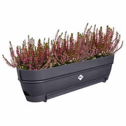 elho 8711904522445 pot à fleurs Plastique Noir - Vue supplémentaire 4