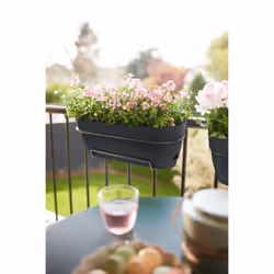 elho 8711904522445 pot à fleurs Plastique Noir - Vue supplémentaire 8