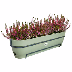 elho 8711904522537 pot à fleurs Plastique Vert