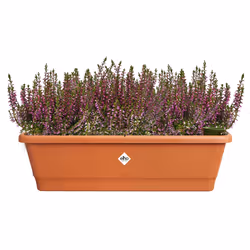 elho 8711904527488 pot à fleurs Extérieure Plastique Marron - Vue supplémentaire 4