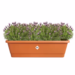 elho 8711904527488 pot à fleurs Extérieure Plastique Marron - Vue supplémentaire 5