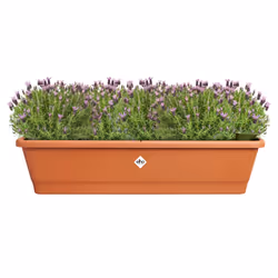 elho 8711904527518 pot à fleurs Extérieure Plastique Marron - Vue supplémentaire 4