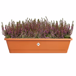 elho 8711904527518 pot à fleurs Extérieure Plastique Marron - Vue supplémentaire 5