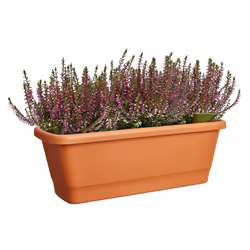 elho 8711904527556 pot à fleurs Extérieure Plastique Marron - Vue supplémentaire 4