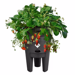 elho 8711904527792 jardinière Noir Plastique - Vue supplémentaire 3