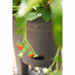 elho 8711904527792 jardinière Noir Plastique - Vue supplémentaire 6