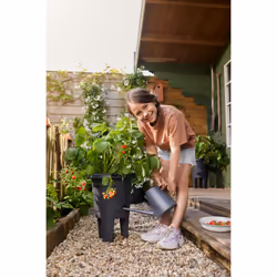 elho 8711904527792 jardinière Noir Plastique - Vue supplémentaire 7