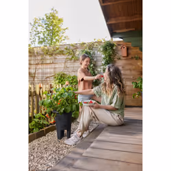 elho 8711904527792 jardinière Noir Plastique - Vue supplémentaire 9