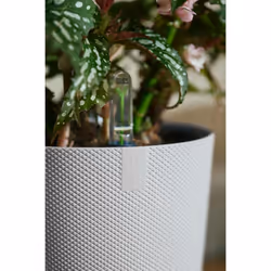 elho 8711904528645 jardinière Blanc Plastique - Vue supplémentaire 7