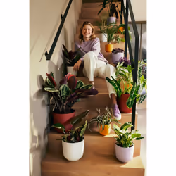 elho 8711904528645 jardinière Blanc Plastique - Vue supplémentaire 8