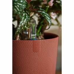 elho 8711904528737 jardinière Rouge Plastique - Vue supplémentaire 6