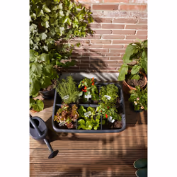 elho 8711904529581 pot à fleurs Extérieure Plastique Noir - Vue supplémentaire 8