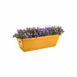 elho 8711904530334 pot à fleurs Extérieure Plastique Jaune