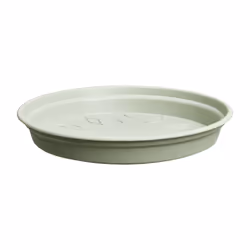 elho 8711904530815, Soucoupe, Plastique, Vert, Rond, Intérieur &amp; extérieur, 100%