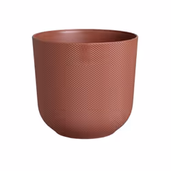 Vous etes a la recherche d'un nouvel objet déco pour votre maison ? Que vous vouliez une simple plante ou transformer votre m ...