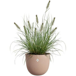 Pot de fleurs Elho Sereh Rond 30 - Marron - l 30 x b 29.5 x h 25 cm - 100% recyclé