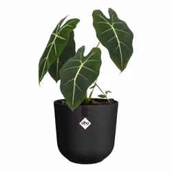 ELHO Pot de fleur Jazz Rond - Noir - Ø 26 x H 24 cm - Intérieur - 100% recyclé