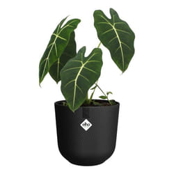 ELHO Pot de fleur Jazz Rond - Noir - Ø 26 x H 24 cm - Intérieur - 100% recyclé
