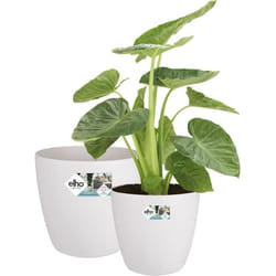 ELHO Lot de 2 pots de fleur rond à roulettes Brussels - Ø35 x H33 cm et Ø39 x H365 cm - 55 L - Blanc