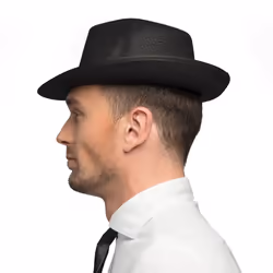 Boland 8712026040008 accessoire de déguisement Chapeau de déguisement Adulte unisexe