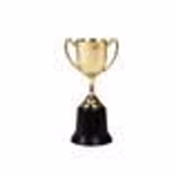 Trophée - Boland - Trophée dor - 22 cm - Plastique - Unisexe