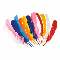 Boland 44135, Plumes de déguisement, Adultes et enfants, unisexe, Feather, Multicolore, 33 g