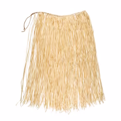 Boland 52238 Jupe de déguisement Adulte Femelle